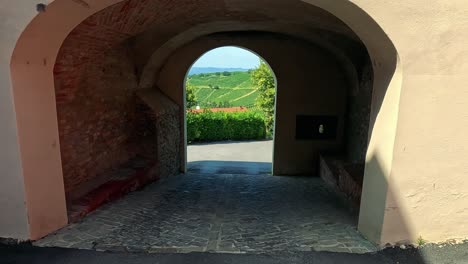 exploring a vineyard in monforte d'alba, italy