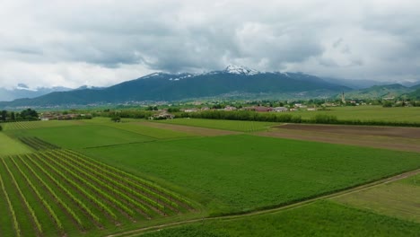 4K-Drohnenaufnahme-Toskanischer-Weinberge-Entlang-Der-Landwege