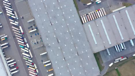 semi truck with cargo trailer is travelling on a parking lot along a warehouse of a logistics park