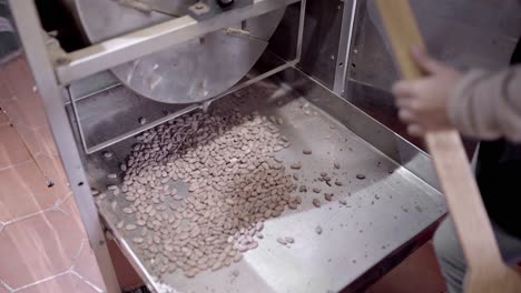 cosecha mujer anónima secando granos de cacao en una máquina profesional