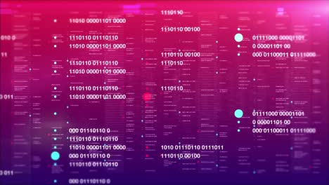 fly through dark web info war