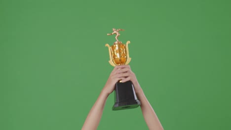 raised hands of a man are holding a trophy. green screen background