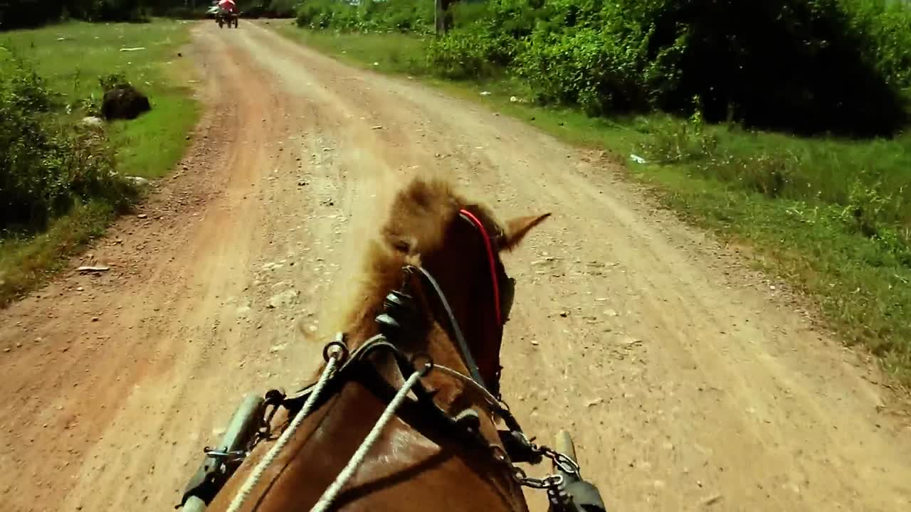 montar un carruaje tirado por caballos por el camino de tierra en la campiña camboyana