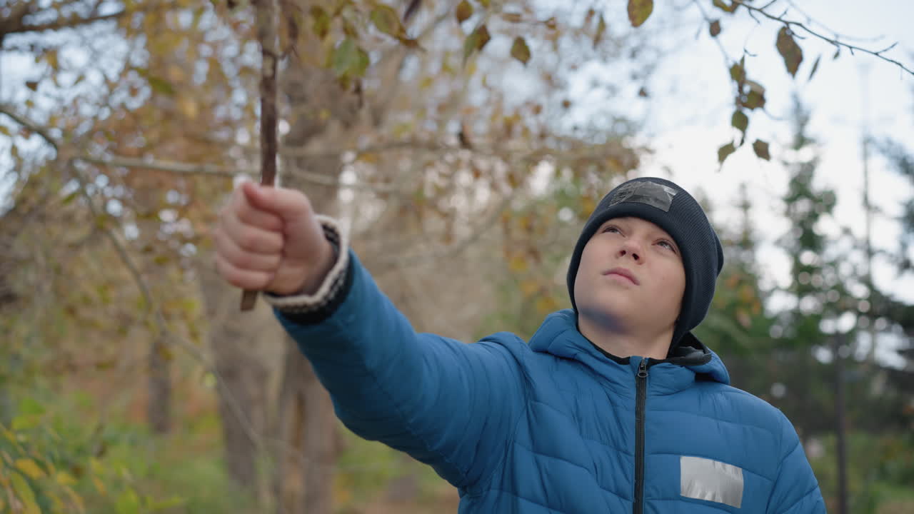 niño blanco en chaqueta azul azota rama seca de un árbol juguetón, haciendo que las hojas caigan a su alrededor, mientras está de pie en el bosque con el follaje de otoño en el fondo