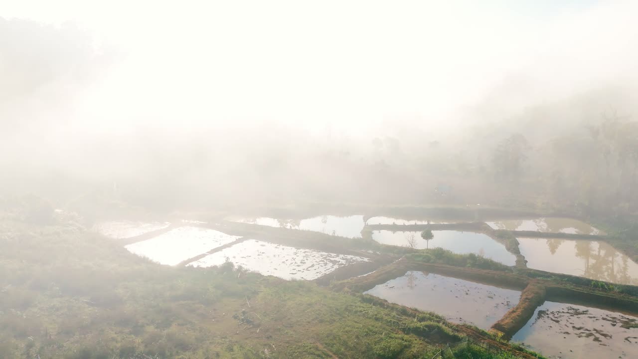 ベトナムのビントゥアン省にあるフーコイ島のドローンによる高所からの眺め。沿岸の池、起伏の多い地形、柔らかな朝霧が、自然の景観、島の環境、穏やかな雰囲気を映し出している。