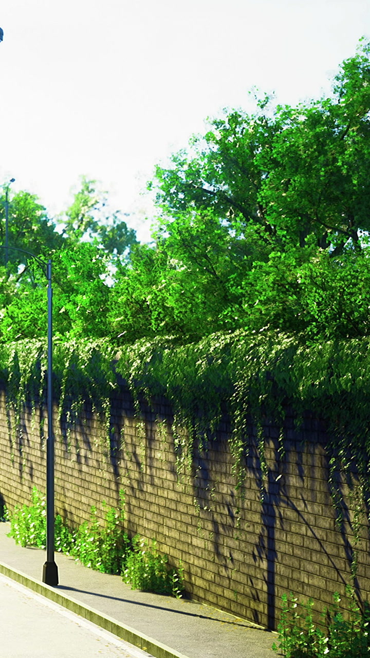 Wall covered in plants along a path during daylight in a quiet area