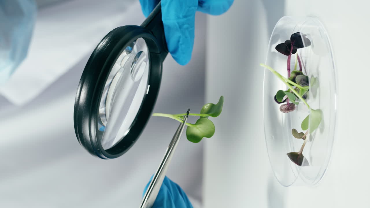 Microgreens Research and Experimentation