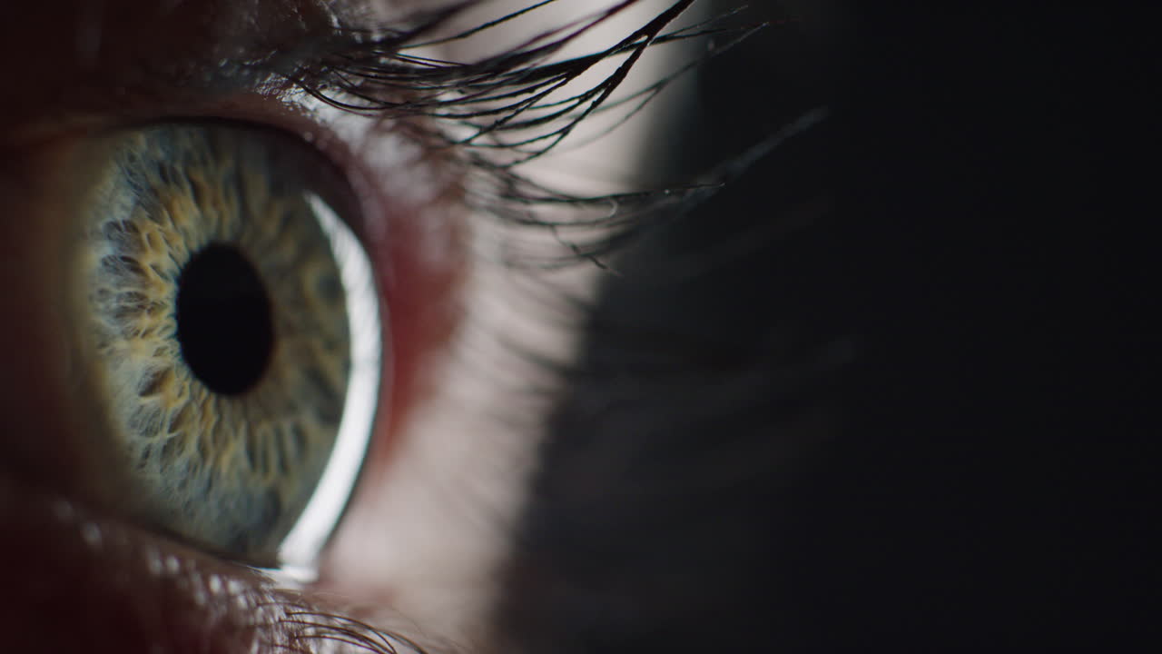 macro belleza ojo parpadeando buscando curiosidad vista sana de cerca