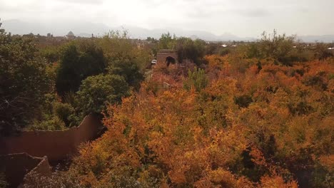 Historical-building-mud-brick-clay-house-in-colorful-pomegranate-garden-orange-yellow-green-leaves-tree-in-harvest-season-in-nomad-local-people-village-of-ardakan-yazd-aqda