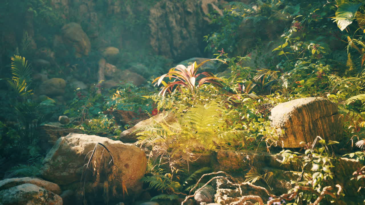 빛은 울창한 정글을 가로질러 빛납니다.