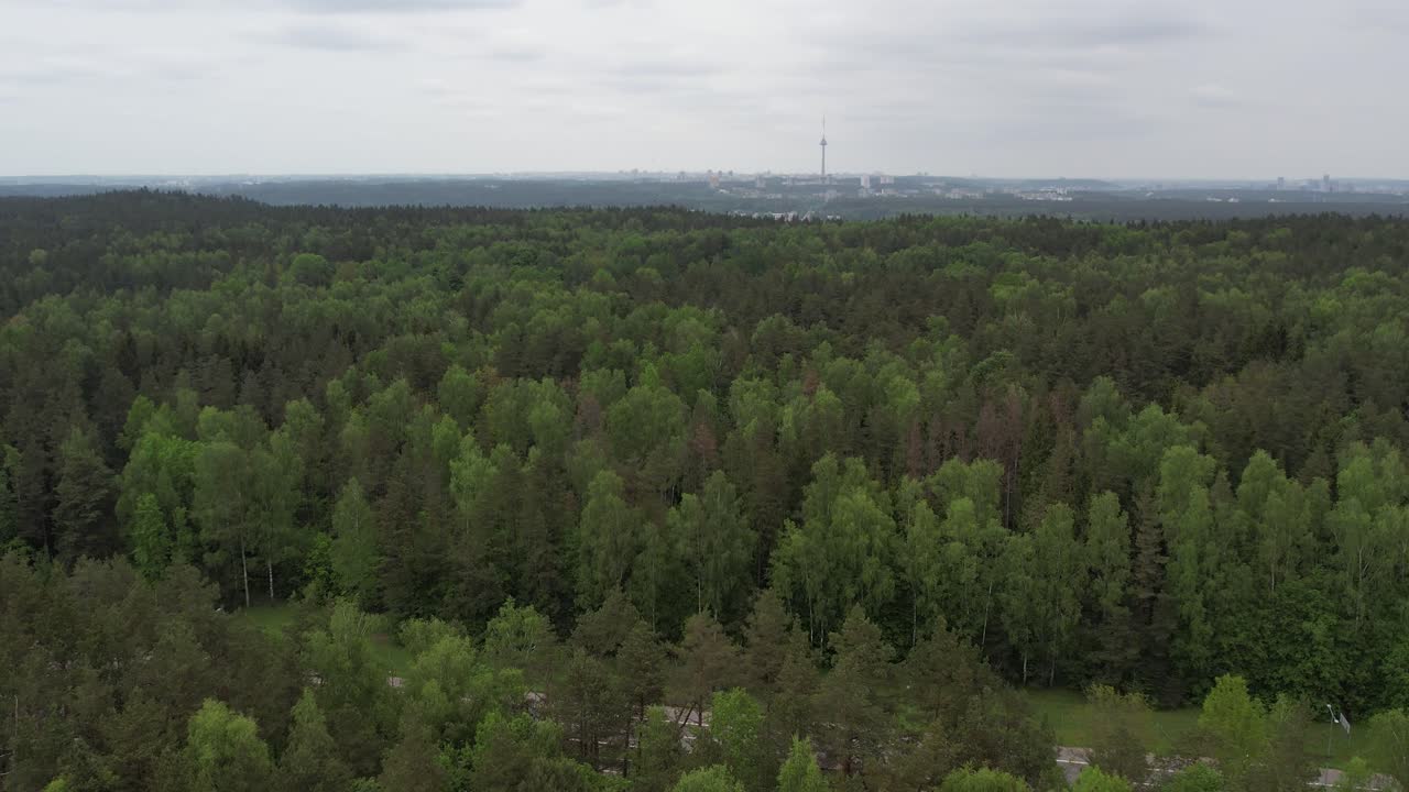 A wide aerial shot capturing a dense forest outside Vilnius, with mixed green trees stretching toward the horizon. The Vilnius TV Tower and distant city skyline with soft grey clouds during misty rain