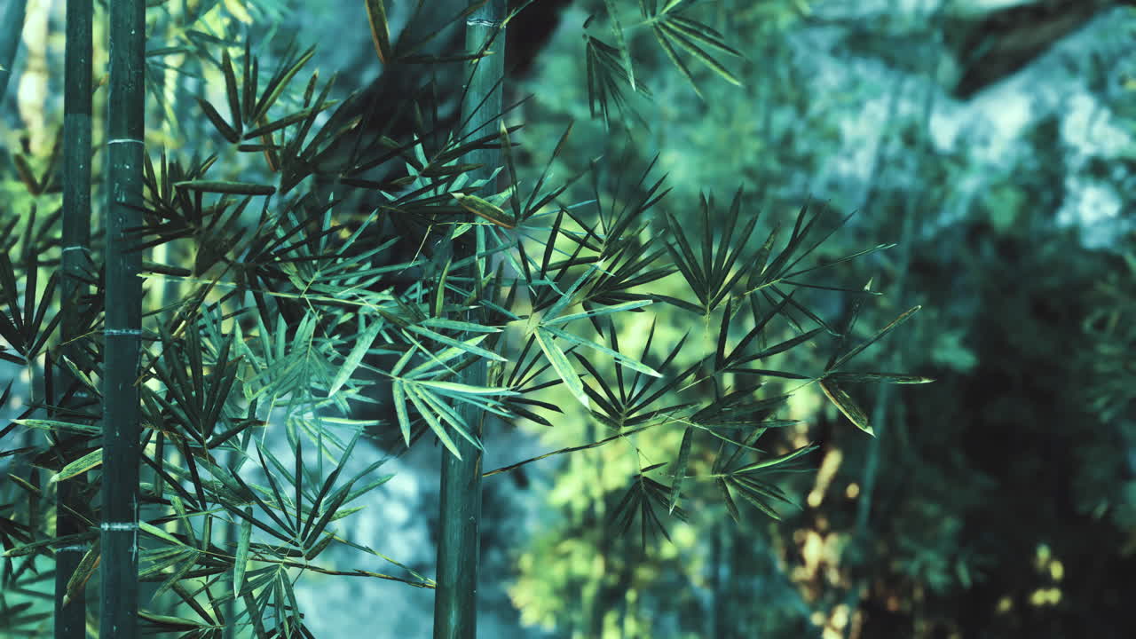 Bamboo foliage creates a tranquil atmosphere in a lush green environment