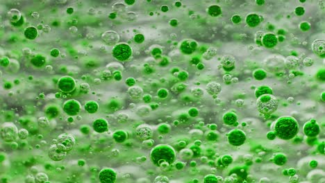 macro shot of many small green bubbles floating in water, slowly sinking