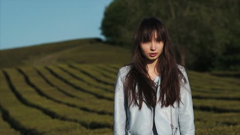 woman in a tea plantation