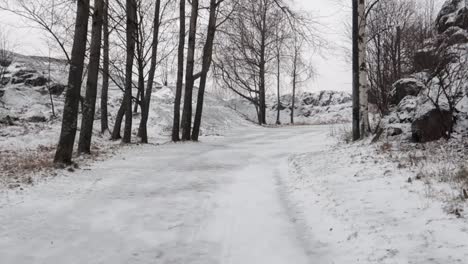 walking shot of a forest path covered in snow going uphill