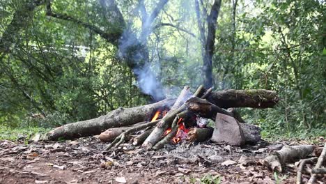 Campingfeuer-Im-Dschungel-Mit-Rauch