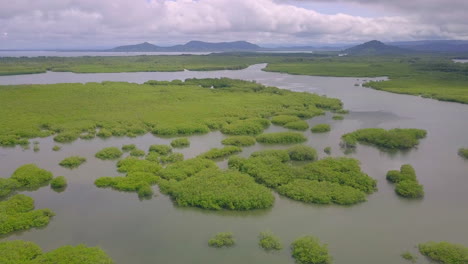 vista panorámica sobre pantano en boca chica, panamá