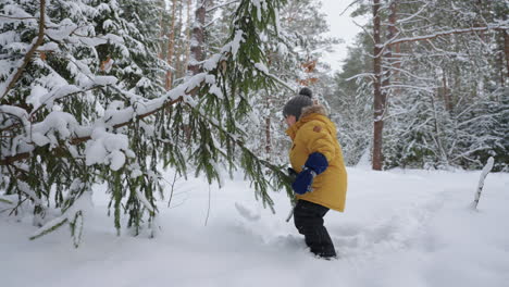 Kleines-Kind-Erkundet-Die-Natur-Im-Winterwald-Und-Spielt-Mit-Kiefernzweigen-Im-Schnee