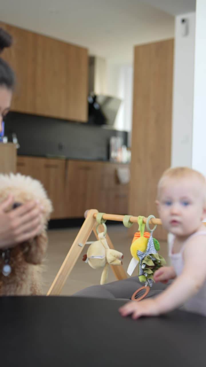 가정 주방 에서 아기 와 개 의 상호 작용