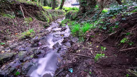 Wasser-Fließt-Durch-Den-Wald,-Lange-Belichtung,-So-Dass-Das-Wasser-Glatt-Und-Seidig-Aussieht