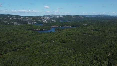 backwards shot of evergreen area in marvelous killarney provincial park, canada