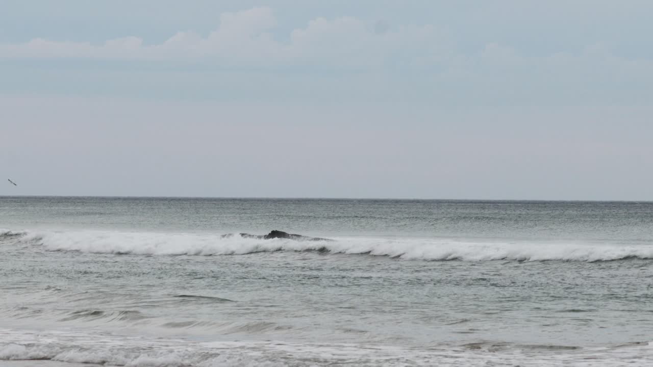 새들은 큰 바다 도로에서 파도 위로 날아갑니다.