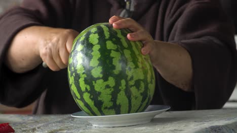 an adult woman's hands with a knife are cutting a ripe watermelon closeup