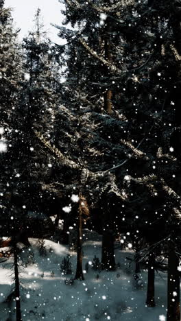 snowy forest in winter wonderland