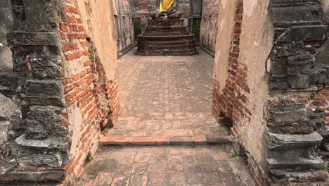 person walks down old brick stairs with foliage.