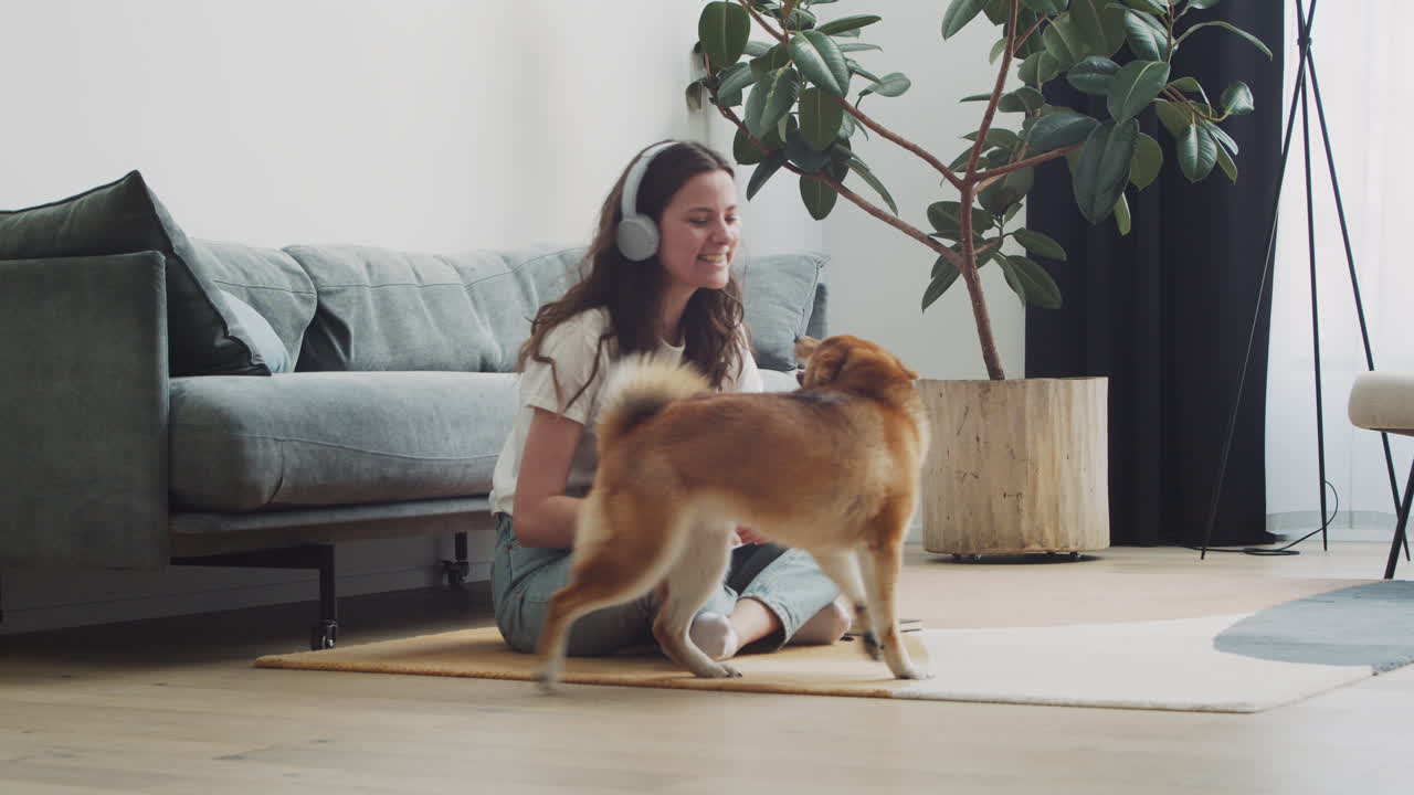 Cute Dog Climbs On Top Of The Sofa To Lick His Owner's Face And Play With Her, Who Was Working On Her Computer At Home