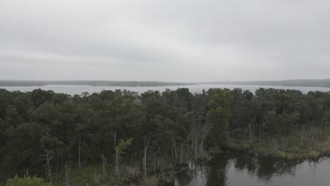 island of trees in the middle of a lake