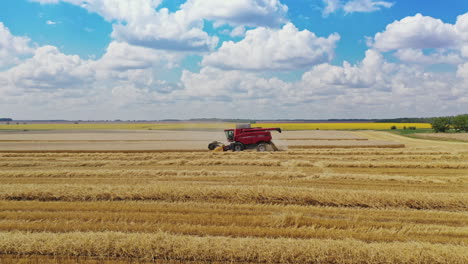 red combine harvester working on the field at seasonal works. agricultural machine cutting blades of wheat in the countryside under the blue sky. camera moves back.