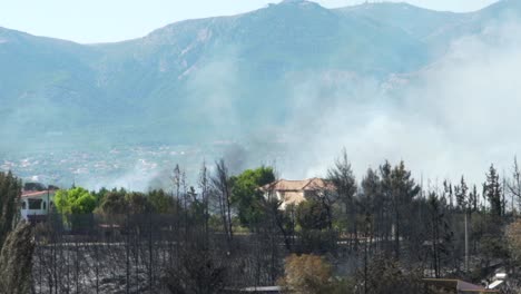 Zoom-out-reveal-shot-of-catastrophic-results-of-big-forest-fire-at-Parnitha-mountain,-Greece,-Slow-motion-120fps