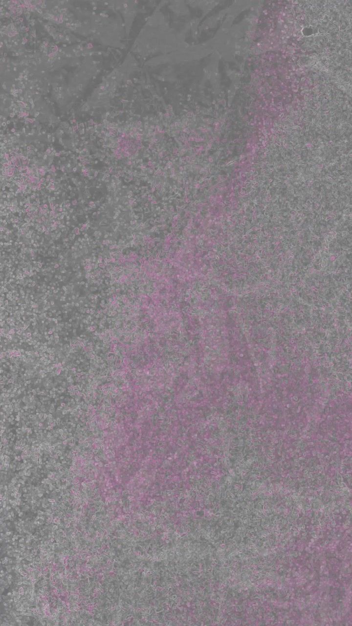 Patrón abstracto de ruido digital con efecto glitch y tonos morados y grises.