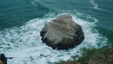 Großer-Felsen-Mit-Vielen-Vögeln-Vor-Der-Küste-Nordkaliforniens