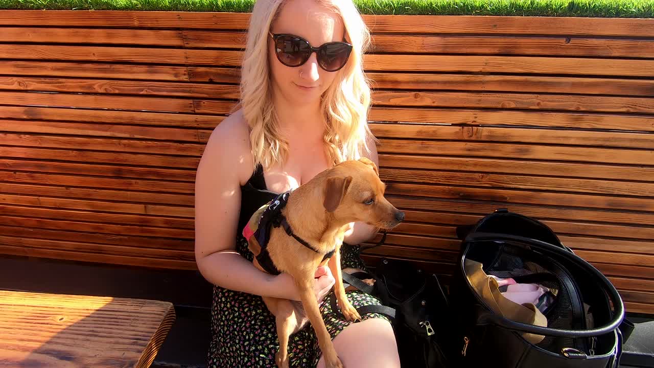 아름다운 금발 소녀가 낮에 배낭을 메고 있는 귀여운 개를 슬로우 모션으로 가볍게 두드린다