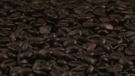 granos de café