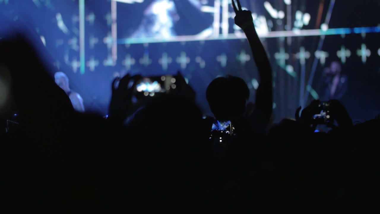 La folla si diverte a un concerto pop notturno