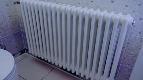 beautiful white radiator (battery, heated towel rail) in the bathroom