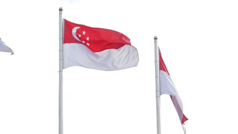 Singapore-flags-for-celebration-national-day