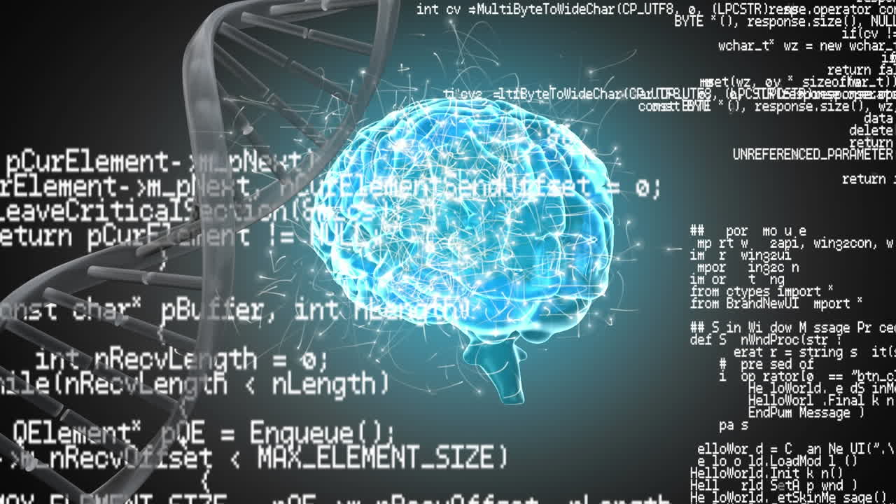 인간의 뇌, dna 나선 및 인터페이스 코드