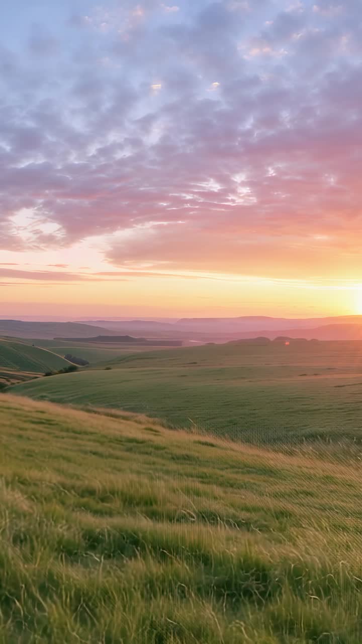 Vertical video: Rising sun warming green hillside and swaying tall grasses in meadow, with clouds