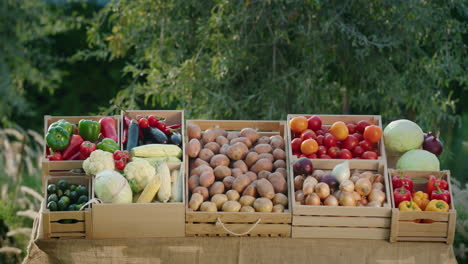 A-beautiful-stall-with-vegetables-at-the-farmers'-market.-Healthy-food-from-local-farmers