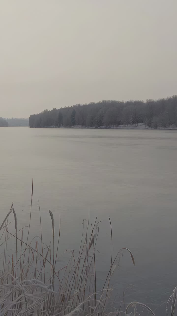 Вертикальное видео: панорамная камера, смена освещения на берегу, показывающая заиндевевшие тростники и спокойное озеро, место для текста