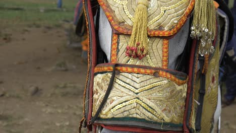 head of horse decorated for durbar, close up