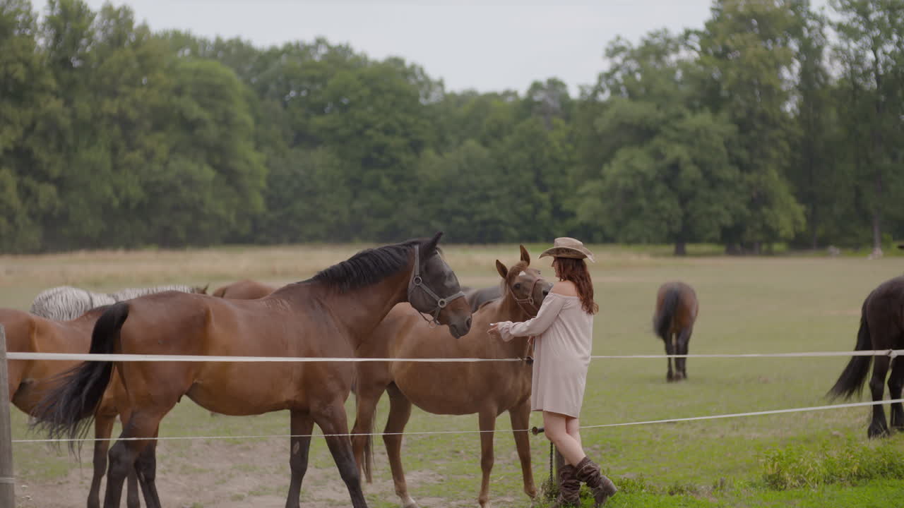 Donna con cappello da cowboy che accarezza un cavallo in un pascolo verde