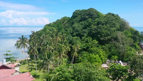 vue aérienne de cocotiers sur l'île tropicale de lengkuas à belitung en indonésie