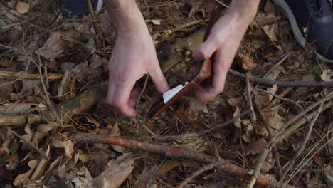 Wallet lost in forest found by tourist, close up opening shot, lucky day or crime evidence