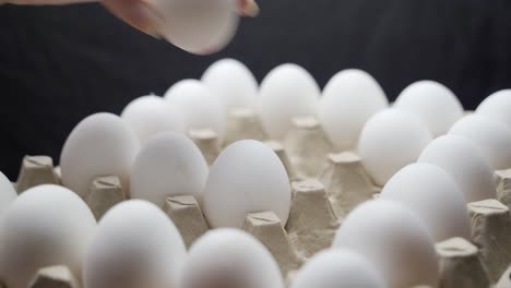 eggs are getting put into carton tray. crates of fresh eggs at a poultry farm.