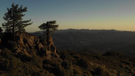 beautiful aerial over the pine mountain wilderness and trees slated to be logged and habitat removed 8